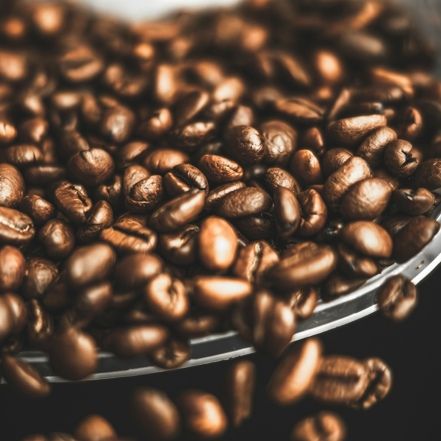 Close-up of roasted coffee beans in a bowl, with a focus on the beans, dark and rich.